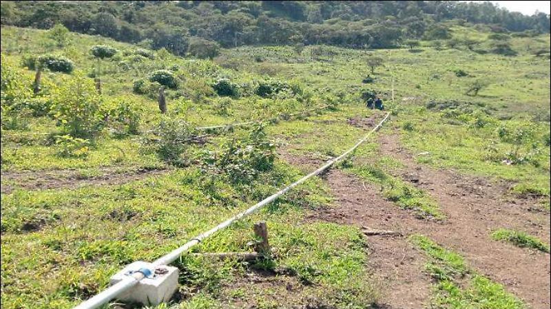 Agua potable desabasto obras Chiapas saneamiento de aguas negras